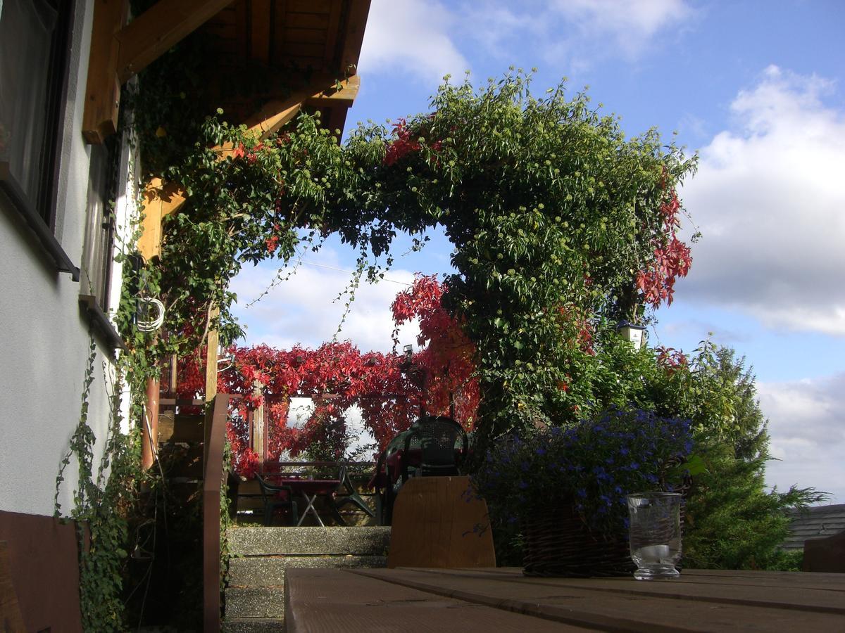 Hotel Dachsberger-Hof Wittenschwand 외부 사진